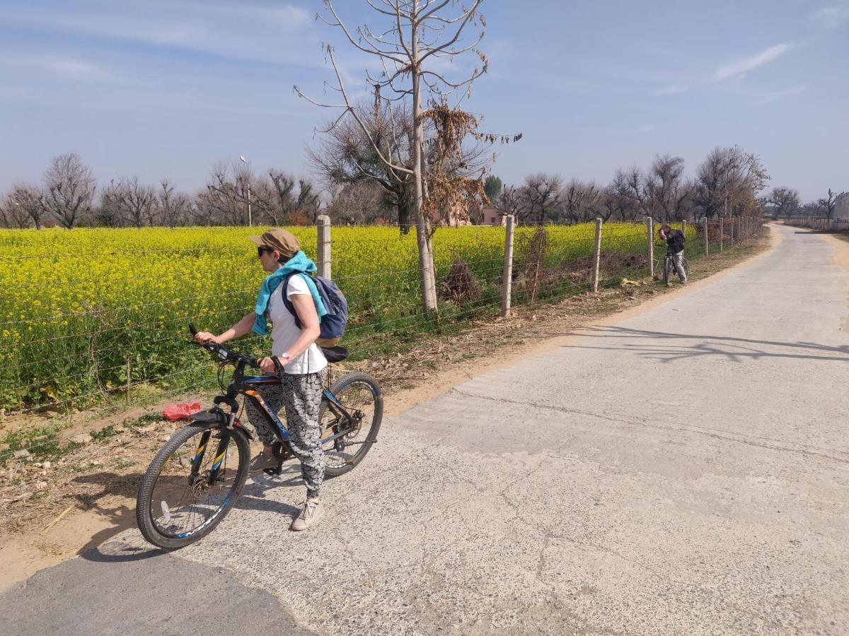Tourist Pension Nawalgarh 외부 사진
