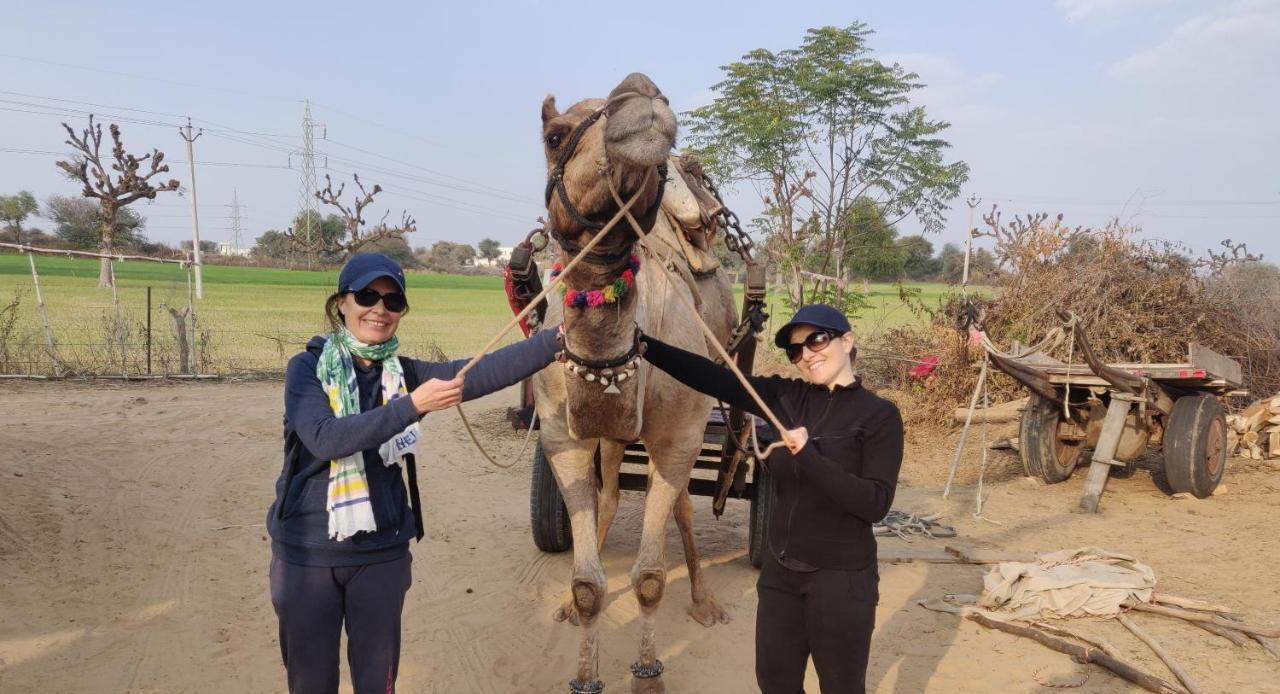 Tourist Pension Nawalgarh 외부 사진
